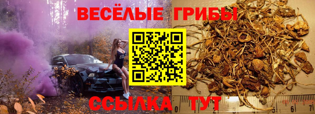 Псилоцибиновые грибы MAGIC MUSHROOMS  Псилоцибиновые грибы Psilocybe  Вход с VPN  Курск 