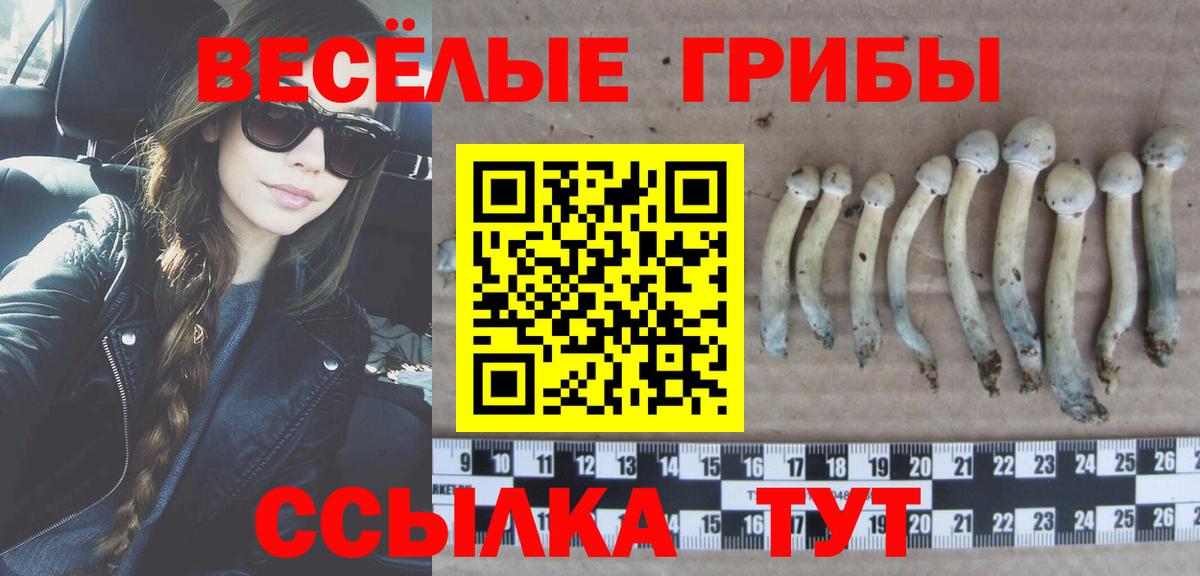 Псилоцибиновые грибы ЛСД Курск